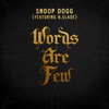 Words Are Few (feat. B Slade) - Single