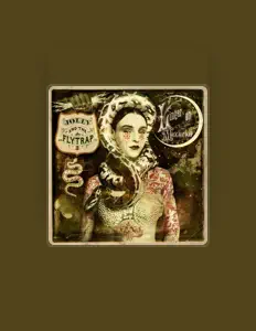 Jolly and the Flytrapを聴いたり、ミュージックビデオを鑑賞したり、経歴やツアー日程などを確認したりしましょう！