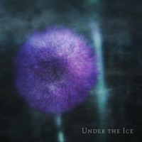 Under the Ice - Destined Dynamics