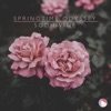 Springtime Odyssey - Single