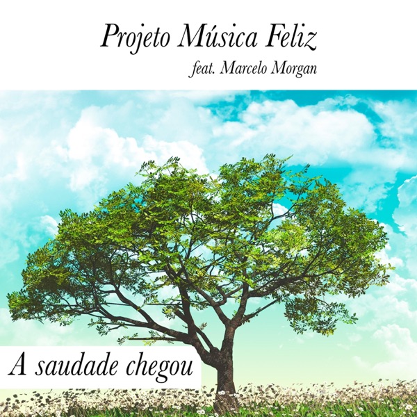 A Saudade Chegou (feat. Marcelo Morgan)