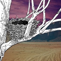 Album cover for Ninho (Demo) by Nóbregas