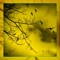 Stimulate - Bodo lyrics