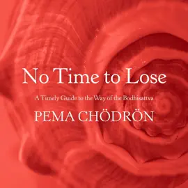 No Time to Lose: A Timely Guide to the Way of the Bodhisattva (Unabridged)