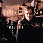 David Wilcox - Hold It up to the Light