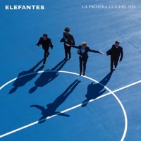 La primera luz del día - Elefantes