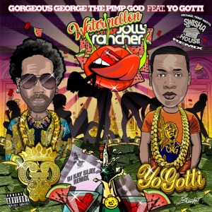 Watermelon (Swisher House Remix) [feat. Yo Gotti] - Single