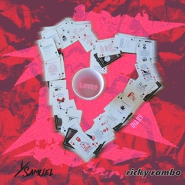 Diary (feat. Y. Samuel) Ricky Rambo