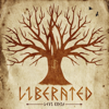 Liberated - Levi Kreis