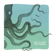 Delta Sleep - Spy Dolphin