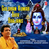 Gulshan Kumar Shiv Bhajans artwork