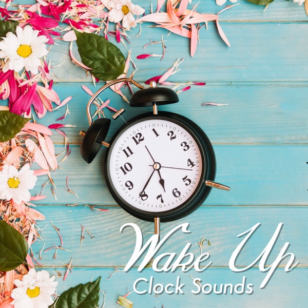 Wake Up Clock Sounds: Smooth Alarm for Positive Morning & Perfect Day