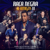 Raça Negra e Amigos II (Ao Vivo) - Raça Negra