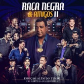 Raça Negra e Amigos II (Ao Vivo) artwork