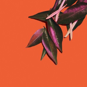 Carnaval Artificial (Out Of The Sky) - Single