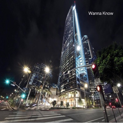 Wanna Know - Single