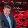 Die Nacht der tausend Rosen
