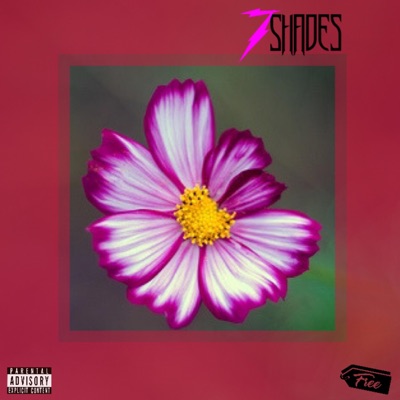 7 Shades of Imperfection