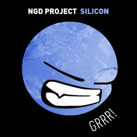 Silicon Ngd Project