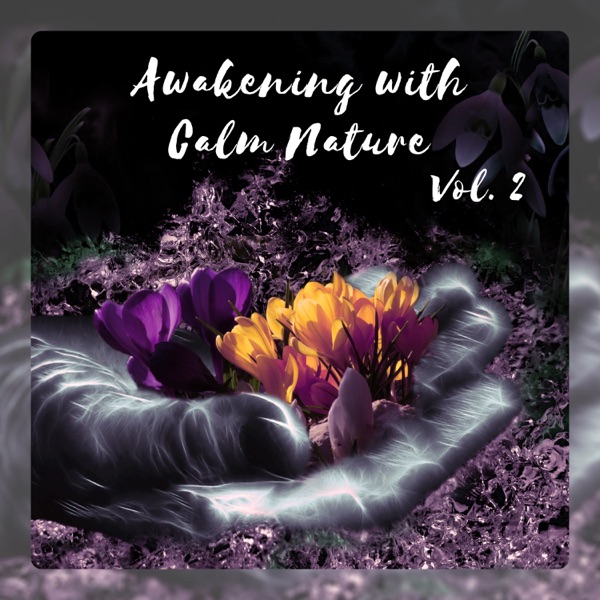 Awakening with Calm Nature Vol. 2: Soothing Wake up Alarm, Morning Relax, Better Day