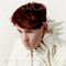 William - Patrick Wolf lyrics