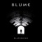 Blackening (Stars Crusaders Remix) - Blume lyrics