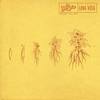 Panchita cover art