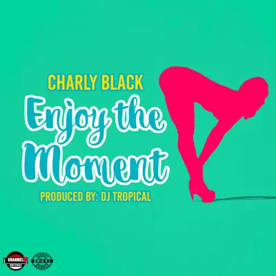 Enjoy the Moment - Single - Charly Black
