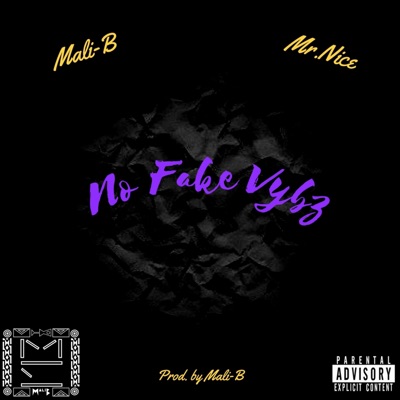 No Fake Vybz (feat. Mr. Nice) - Single