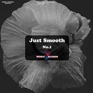 Just Smooth, Vol. 1 - Single