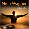 Am Pus O Pecete - Nicu Wagner