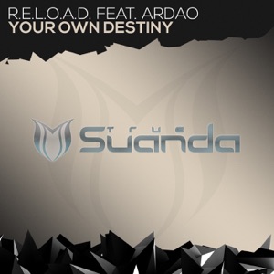 Your Own Destiny (feat. ArDao)