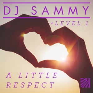 A Little Respect - Single