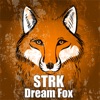 Dream Fox - Single