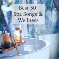 Bangkok Zen Sound & Sauna & Relax - Best 30 Spa Songs & Wellness - Nature Ambient Chill & Oriental Lounge Wellness Music for Spa artwork