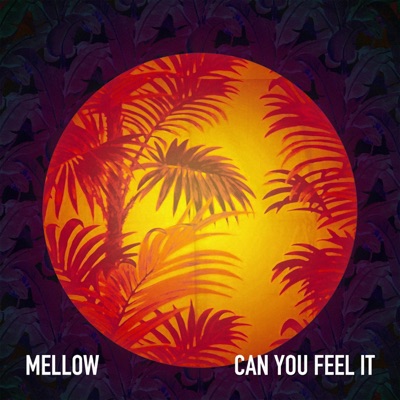 Can You Feel It - Single