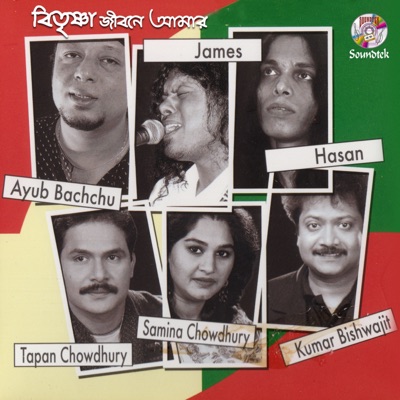 Bitrishna Jibone Amar