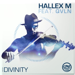 Divinity (feat. QVLN) - Single