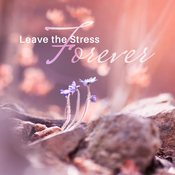 Leave the Stress Forever: Nature Sounds to Calm Down, Anti Stress Massage Music, Gentle Instrumentals, Feel Free to Relax Anytime