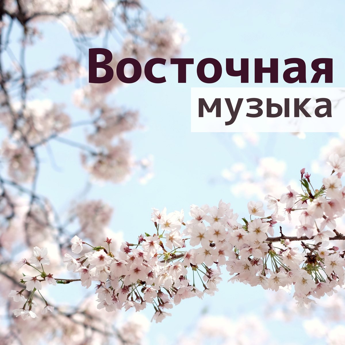 Спокойная музыка для сна слушать без рекламы. Музыка для сна. Релакс музыка для сна. Музыка для сна звезда. Исцеляющая музыка для сна.