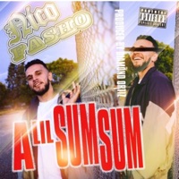 Sum Sum - Single - Nicofasho