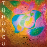 Turuncu - Single - Liman