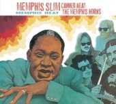 Memphis Slim - When I Was Young