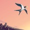 Snowdrop - Single