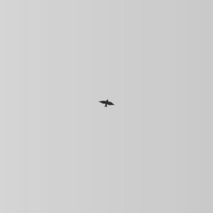 Return - Single