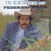 15 Exitos de Federico Villa - Versiones Originales, 1986