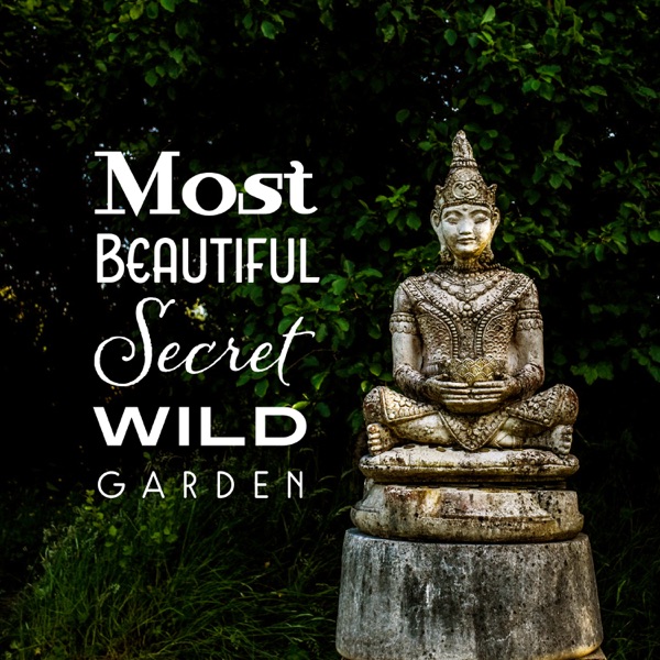 Most Beautiful Secret Wild Garden