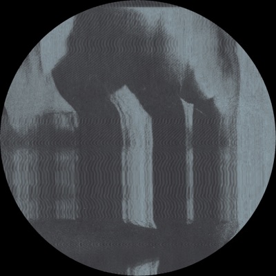 Splade - Single