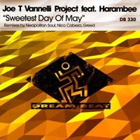 Sweetest Day of May (feat. Harambee) - Joe T. Vannelli