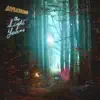 Aviations - Two Days